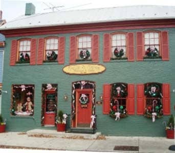 Beautiful Seasonal Flowers Banner